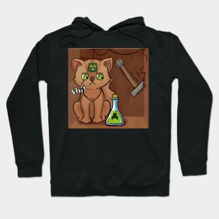 Schrodinger's cat Hoodie